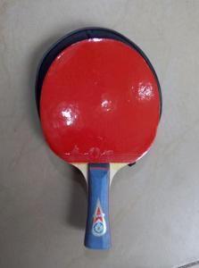 Table tennis Gold cup Racket for table tennis lovers with pouch
