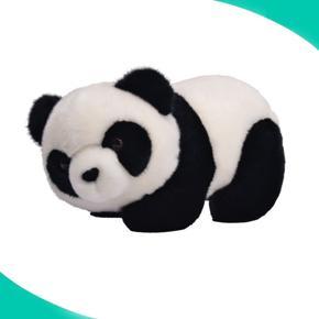 Cute Panda Cartoon Custom Plush Stuffed Toys For Kid's(20cm)