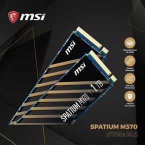 MSI SPATIUM M370 1TB PCIe Gen3x4 NVMe M.2 2280 SSD