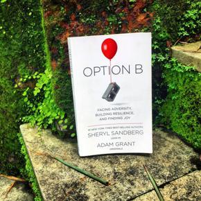 Option B: Facing Adversity, Building Resilience, and Finding Joy by Sheryl Sandberg