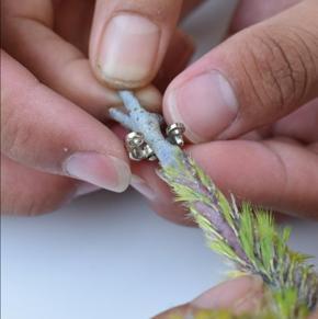 china anklet for budgerigar bird