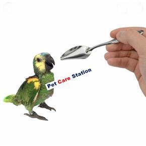 Baby Birds Hand Feeding Stainless Steel Spoon 1pcs