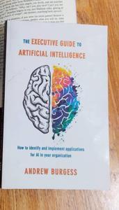 The Executive Guide to Artificial Intelligence: How to Identify and Implement Applications for AI in Your Organization