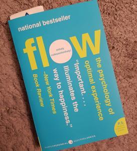 Flow: The Psychology of Optimal Experience -Paperback