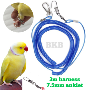 3miter spring harness with 7.5mm anklet foot ring for ringneck parrot, sun coniur, lory bird {full set}