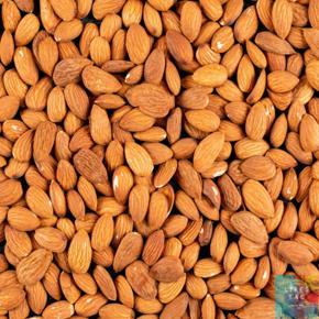 Almonds (Kat Badam) - 100 gm