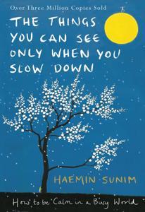 The Things You Can See Only When You Slow Down: How to be Calm in a Busy World Paperback