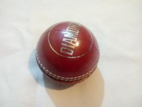 Practice Cricket Hard Ball PVC