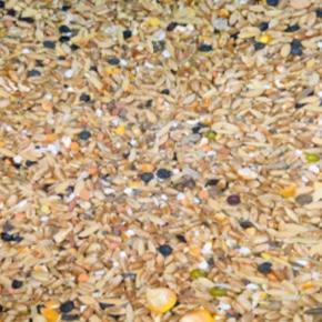 Premium Quality Pigeon mixture food 1 kg