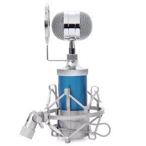 Portable and Durable Easy to Carry Lightweight BM8000 Cardioid Professional Studio Recording Condenser Microphone w/ Pop Filter