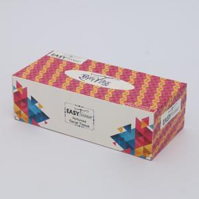 Easy Facial Tissue (120 x 2) Box