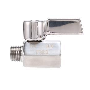 ARELENE 1/4inch 304 Stainless Steel Mini Ball Valve,Female NPT X Male NPT Thread, Shut-Off Valve