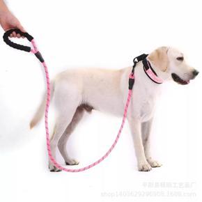 DOG Pet Nylon Rope Training Leash Slip Lead Strap Collar-Red