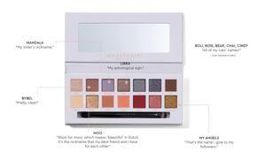 Anastasia Beverly Hills Carli Bybel 14 colour Eyeshadow Palette (Full size)