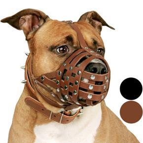 CollarDirect PitBull Dog Muzzle Leather AmStaff Muzzles Staffordshire Terrier Secure Basket, Brown (5.0) 5 stars out of 6 reviews 6 reviews