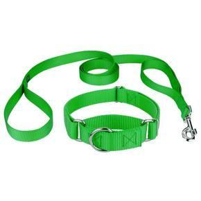 Country Brook Design&reg; Martingale Heavyduty Nylon Dog Collar/Double Handle Leash