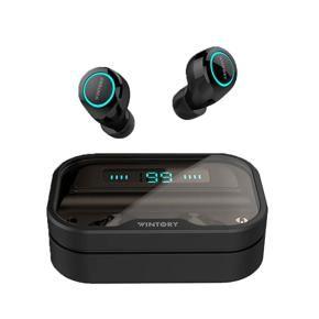 Wintory Dual 2 Hybrid Dual Driver Earbuds