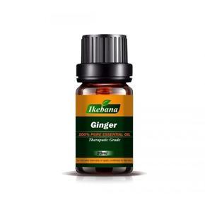 Ikebana Ginger Essential oil 20 ml