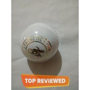 Practice Cricket Hard Ball (Synthetic) White