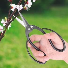 Steel Root Scissors Layer Bonsai With Sharp Edge For Gardeners