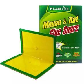 Mouse Rat & Mice Catcher Sticky Glue Board Small Size 01 pc