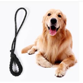 Pet Dog Nylon Adjustable Loop Training Lead Collar Leash Traction Rope (Length-(Length-55 inch-Collar-10 inch)-Black