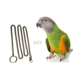 metal foot Chain Harness With anklet ring (combo pack) Leash for ringneck Parrot, sun coniur bird