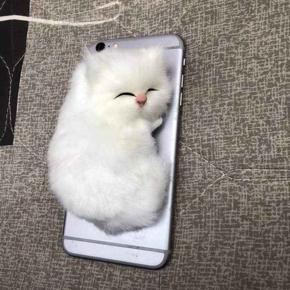 Cute Cat Mobile Comfort Catcher