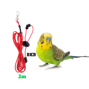 2 miter elastic harness with budgerigar bird anklet ring 3.7 & 4 mm (full set combo pack)