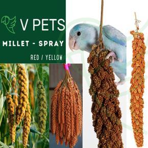 VPETS - Millet Spray for Birds ( Red/Yellow ) - 100 Gm Pack