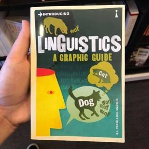 Introducing Linguistics: A Graphic Guide by Bill Mayblin and Larry Trask