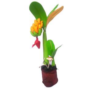 Bonsai Banana Tree Artificial Clay Plants decoration interior - multicolor