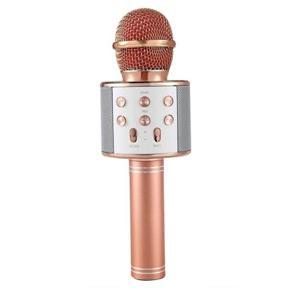 Professional WS-858 Handheld KTV Microphone Wireless Wireless Karaoke