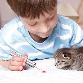 3-in-1 USB Rechargeable Cats Teaser Flashlight Pointer Pen Interactive Pet Toy