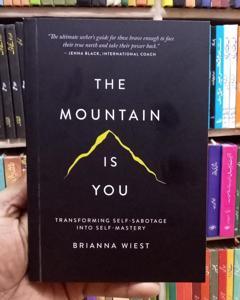 The Mountain Is You by Brianna Wiest