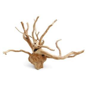 30-60cm Azalea roots Tweety woods for aquarium decoration-(Almost Same As Pic But Don't Same TO Same Photo)