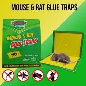 China Rat Glue Trap Mouse & Rat Glue Trap -1 Piece