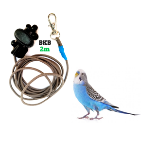 Elastic harness rope Leash Anti-Bite Flying Training Rope Pet Outdoor Traction Fit, Budgerigar Lovebird Cockatiel Mynah all Small Birds