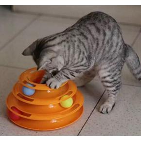 Cat Toy Playing Rounding Ball