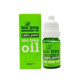 XpelTea Tree Essential Oil Tea Tree Oil (10ml)