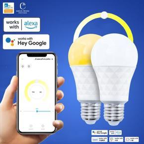 LED Light Smart Double Color Bulb Stepless Dimming Bulb Smart LED Bulb E27 Dimmable, Night Light, Compatible with Alexa, Google Home Assistant Bulb