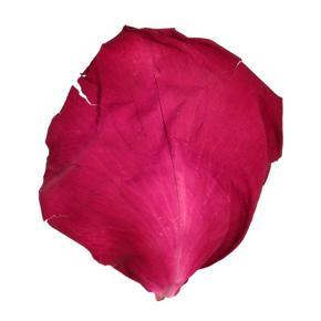 XHHDQES 2 Bag of Dried Rose Petals Flowers Natural Wedding Table Confetti Pot