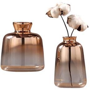 2Pcs Glass Vase Electroplated Gold Vase Glass Flower Vases for Home Decor Dried Flower Bottle - 11 x 9Cm & 14 x 9Cm