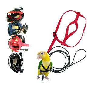 Flying Training Adjustable Parrot Bird Harness Leash