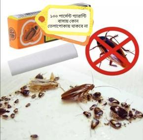 Effective Roach Killer Chalk Cockroach Pesticide for Home Shop