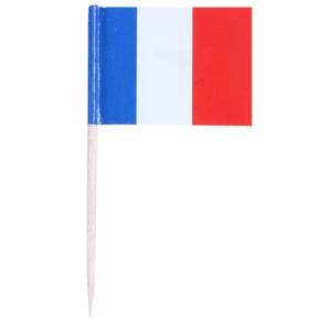 XHHDQES Lot of 150 Pcs Mini Wooden Toothpick with Flag for Decor of Party Fruit Pastry - France (Blue, White, Red)
