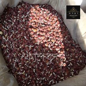 Dry red beans Seed -500gm