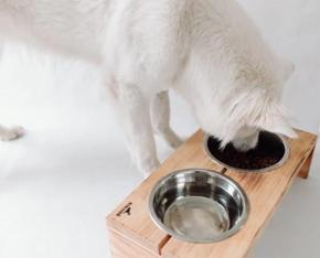Pet Feeder - Modern Bowl Stand For Dogs and Cats / Modern Waterfall Elevated Pet Feeder Stand
