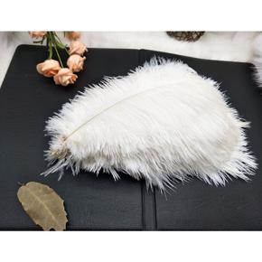 100pcs Ostrich Feather Ornament 15-20cm DIY Natural Home Wedding Party Decoration