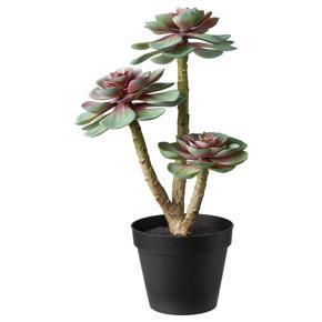 FEJKA Artificial potted plant in/outdoor Succulent 12 cm